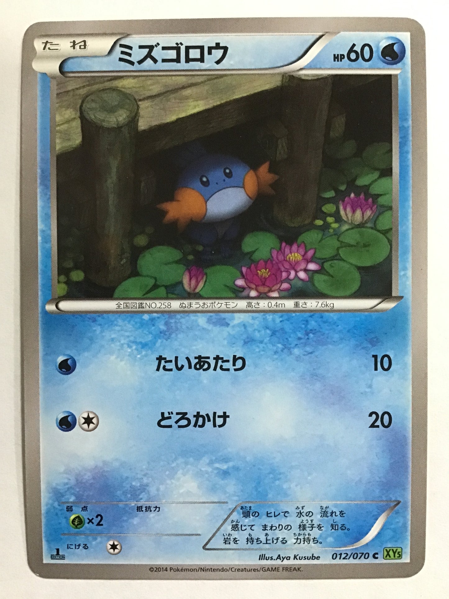 [JP] ミズゴロウ/ミズゴロウ/ﾐｽﾞｺﾞﾛｳ - XY5 012/070 緑/C (1ED)