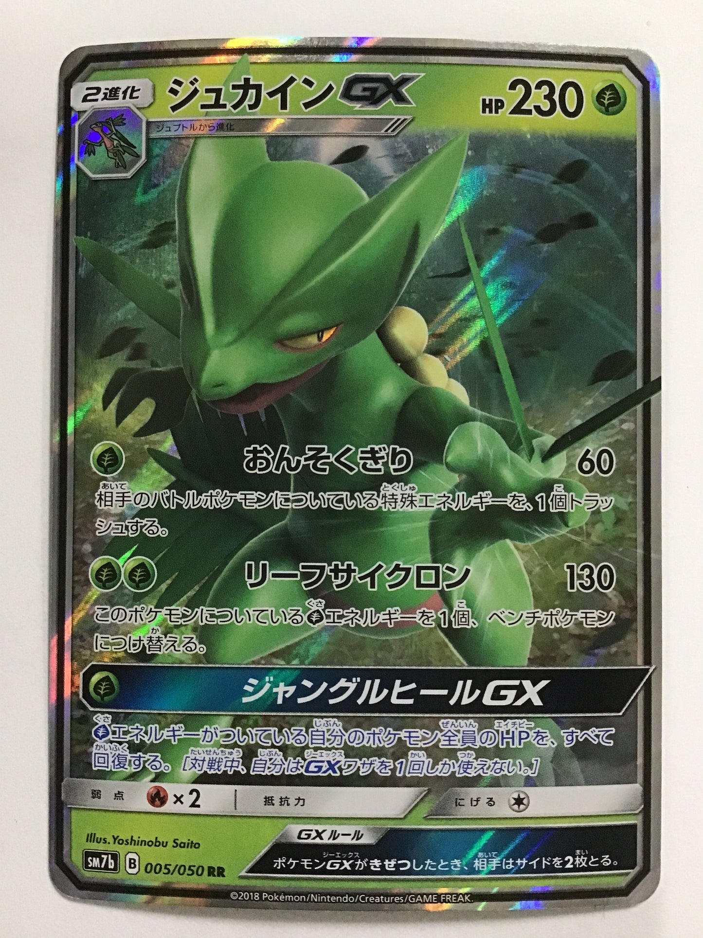[JP] ジュカインGX/ジュカインジーエックス/ｼﾞｭｶｲﾝｼﾞｰｴｯｸｽ - SM7b 005/050 /RR