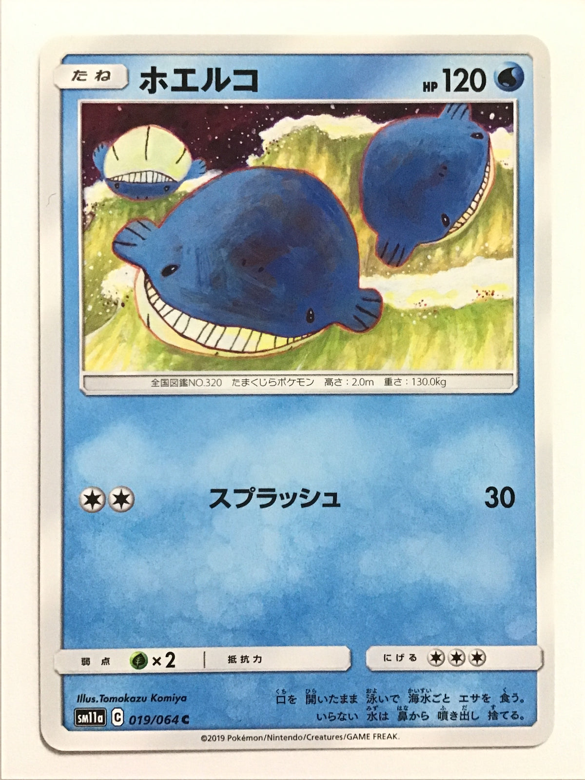[JP] ホエルコ/ホエルコ - SM11a 019/064/C