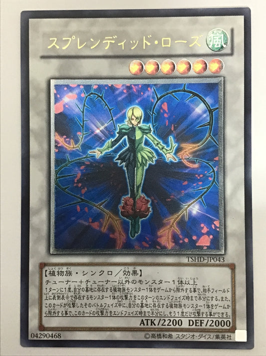 [JP] スプレンディッド・ローズ/スプレンディッドローズ/ｽﾌﾟﾚﾝﾃﾞｨｯﾄﾞﾛｰｽﾞ - TSHD-JP043 A/A
