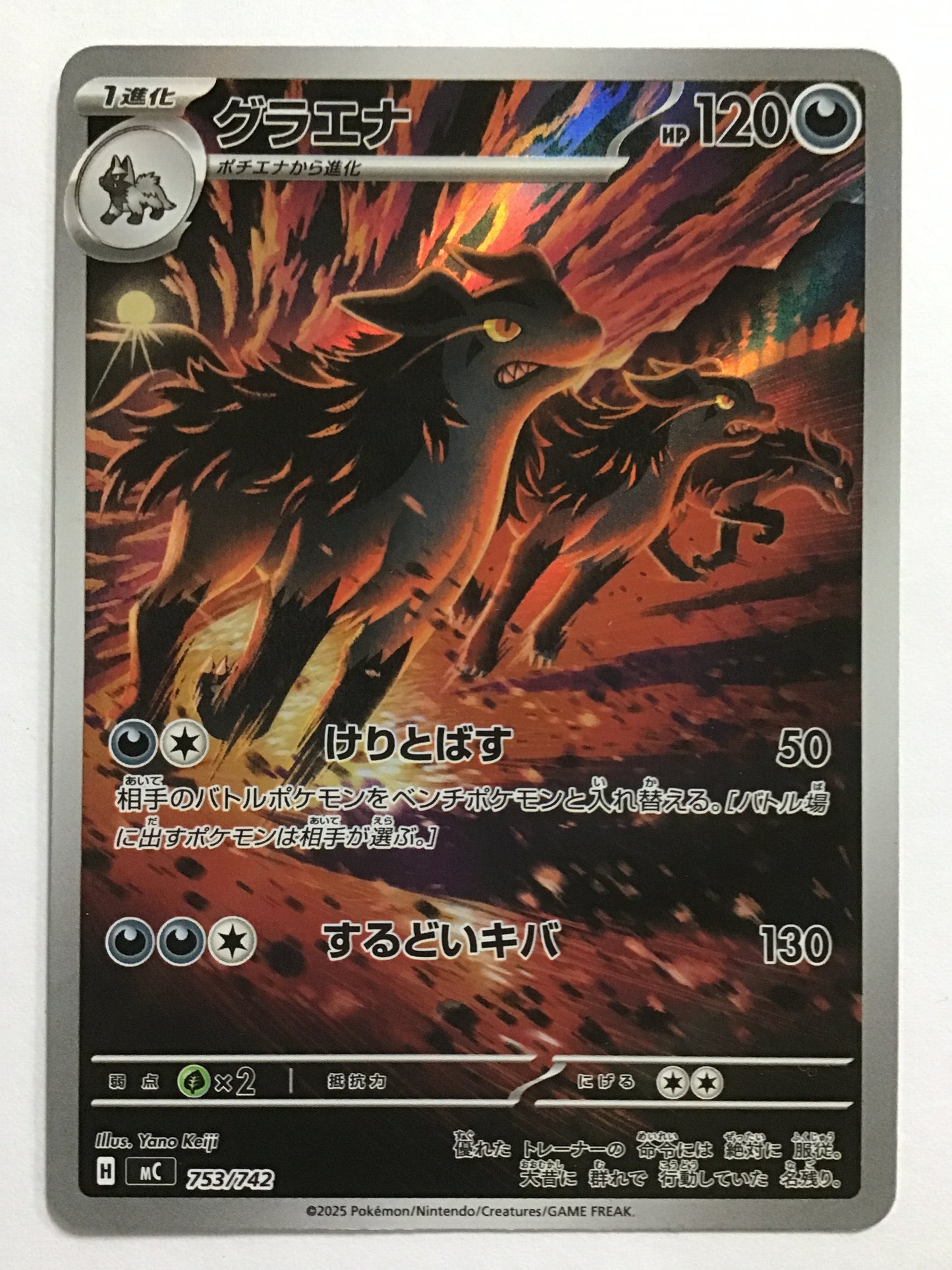 [EN] Mightyena/Mightyena/Mightyena - MC 753/742/- (AR specs)