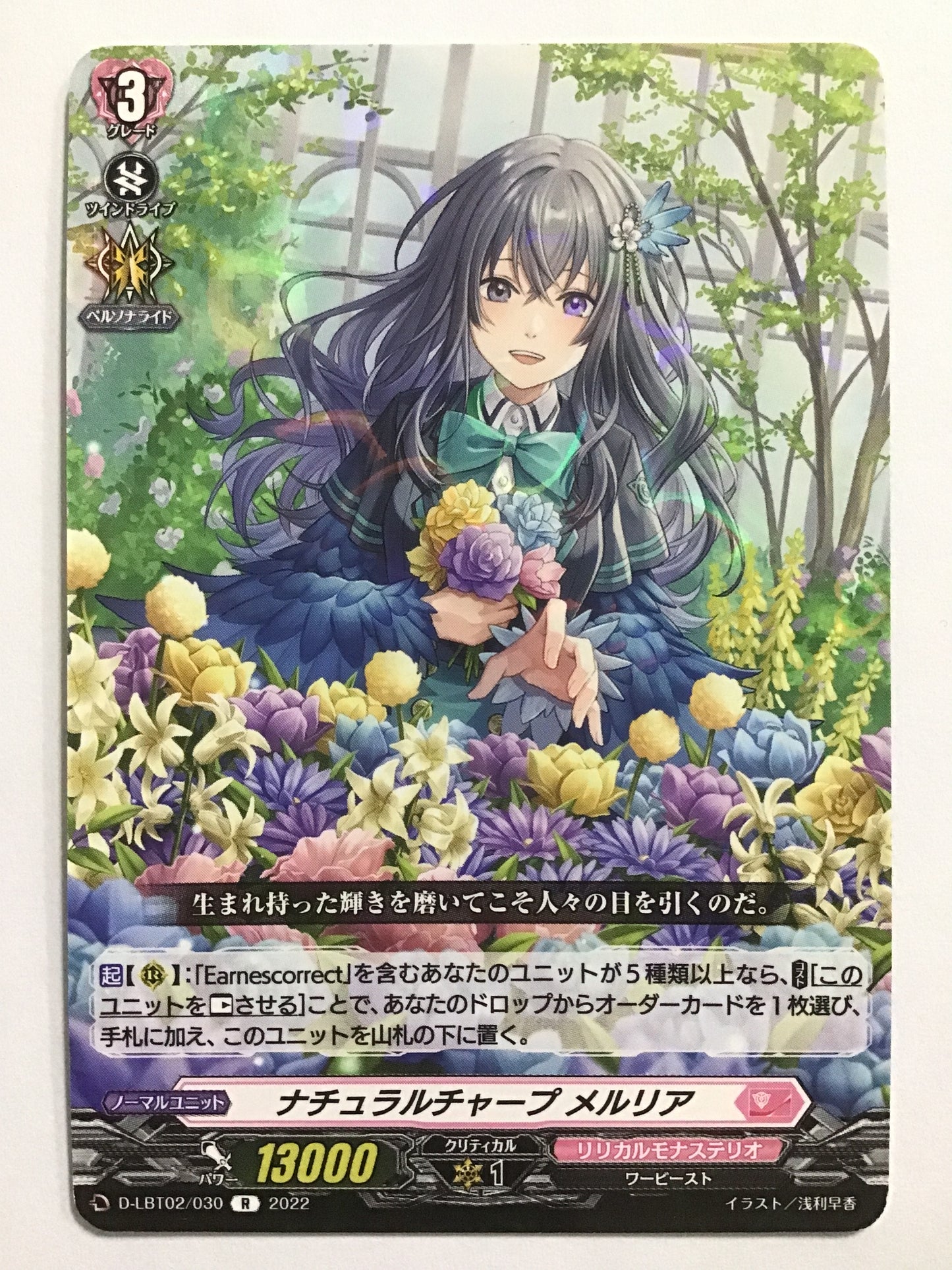 [JP] ナチュラルチャープ メルリア/ナチュラルチャープメルリア/ﾅﾁｭﾗﾙﾁｬｰﾌﾟﾒﾙﾘｱ - D-LBT02/030/R