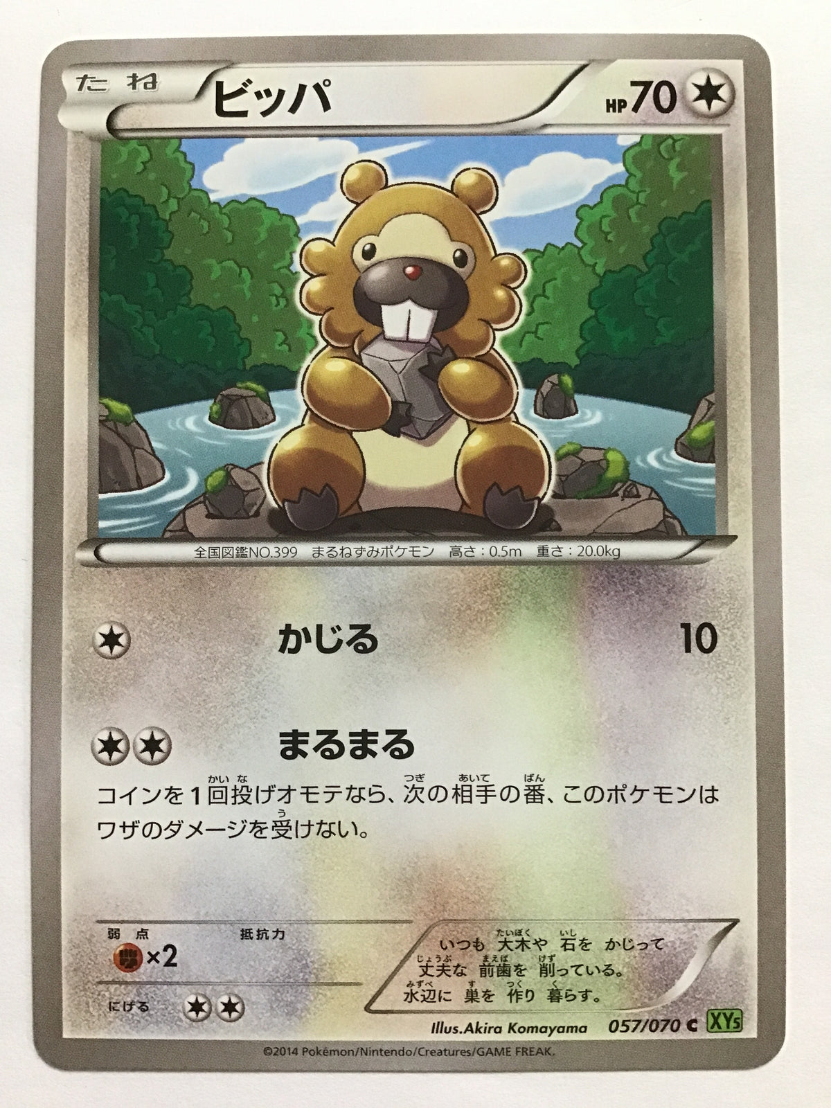 [EN] Bidoof/Bidoof/BIDOOF - XY5 057/070 Green/C/(Illust: Akira Komayama