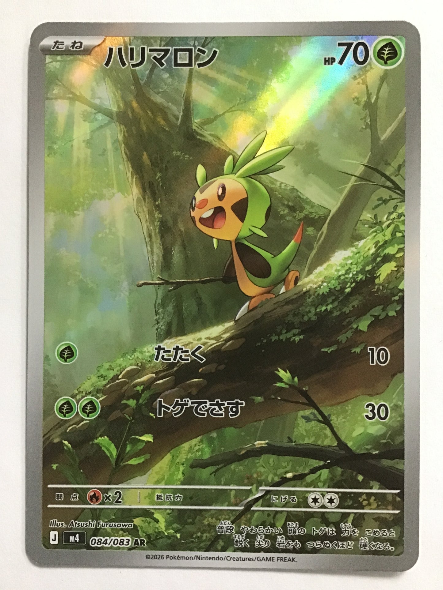 [EN] Chespin/Chespin/Chespin - M4 084/083/AR