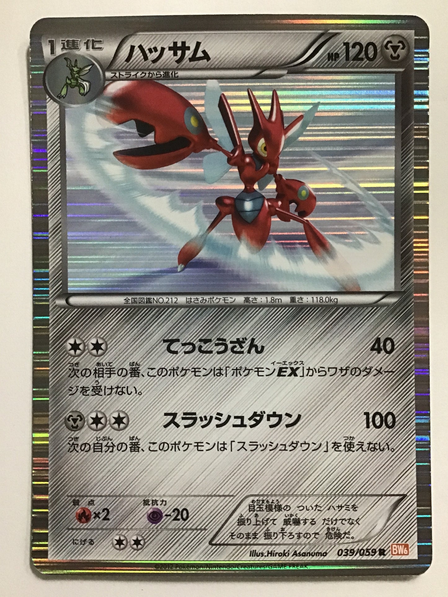 [JP] Hassam/Hassam/Hassam - BW6 039/059 /R