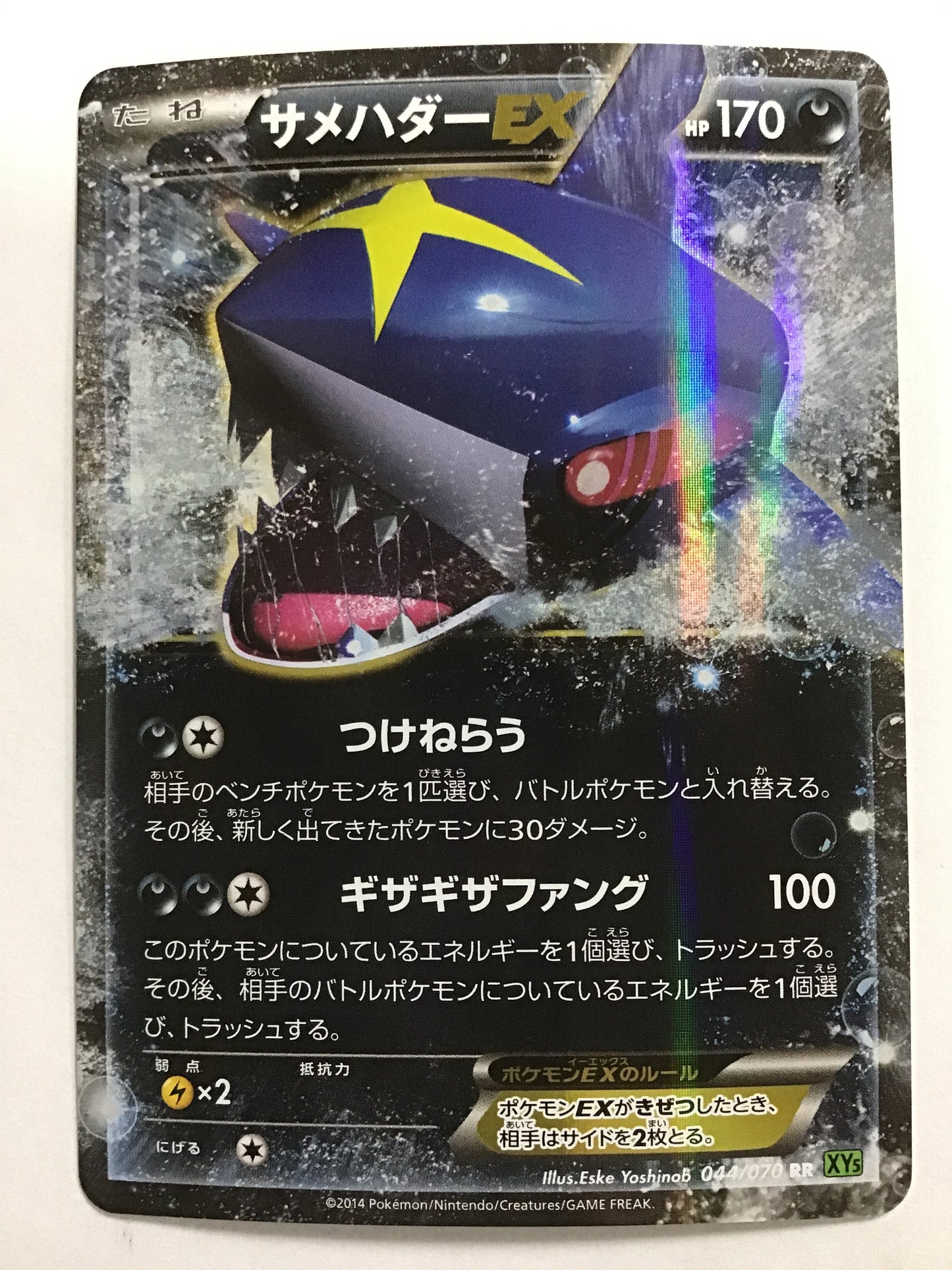 [JP] Samehadar EX/Samehadar EX/Samehadar EX - XY5 044/070 Green/RR