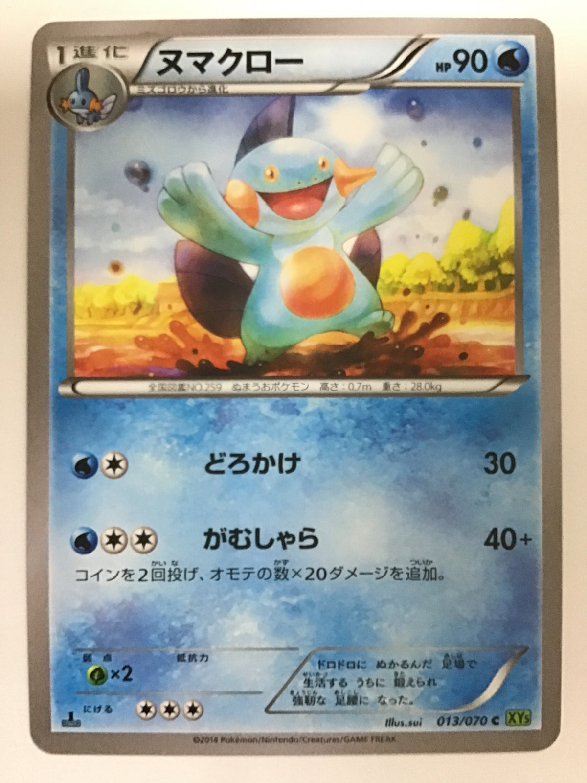 [JP] ヌマクロー/ヌマクロー - XY5 013/070/C (1ED)