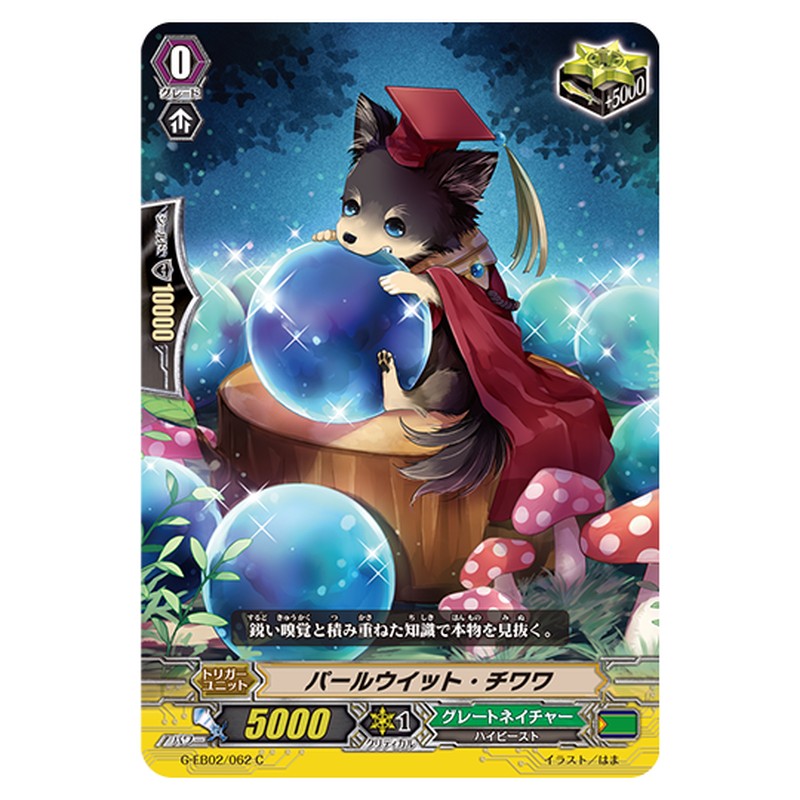 G-EB02/062｜パールウイット・チワワ｜cf-vanguard.com