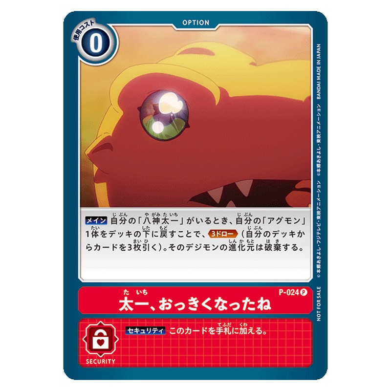 P-024