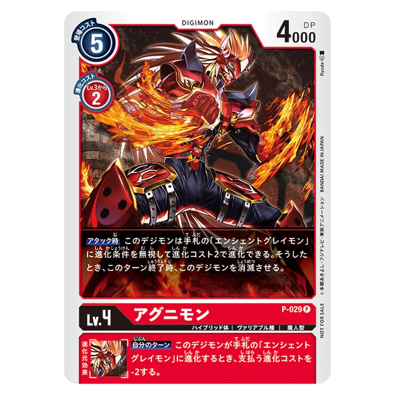 P-029