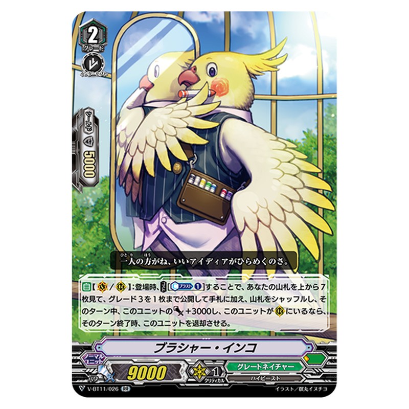 V-BT11/026｜ブラシャー・インコ｜cf-vanguard.com