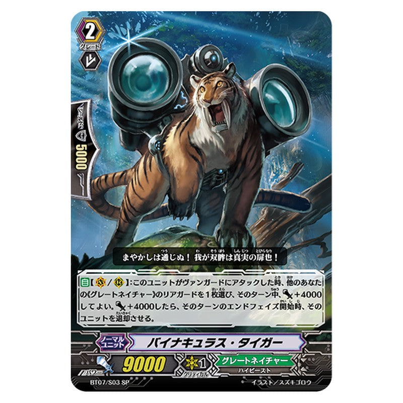 BT07/S03