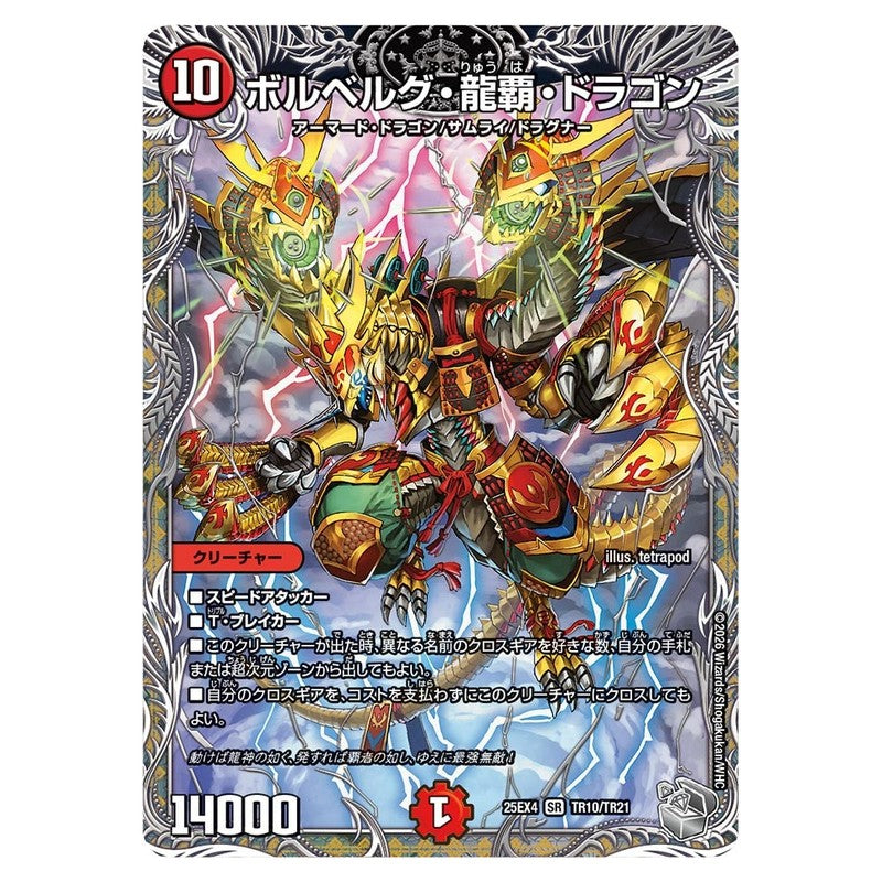 dm25ex4-TR10