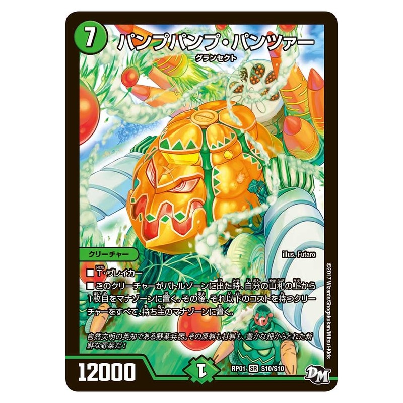 dmrp01-s10