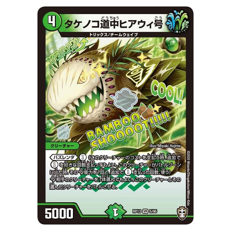 dmrp13-005