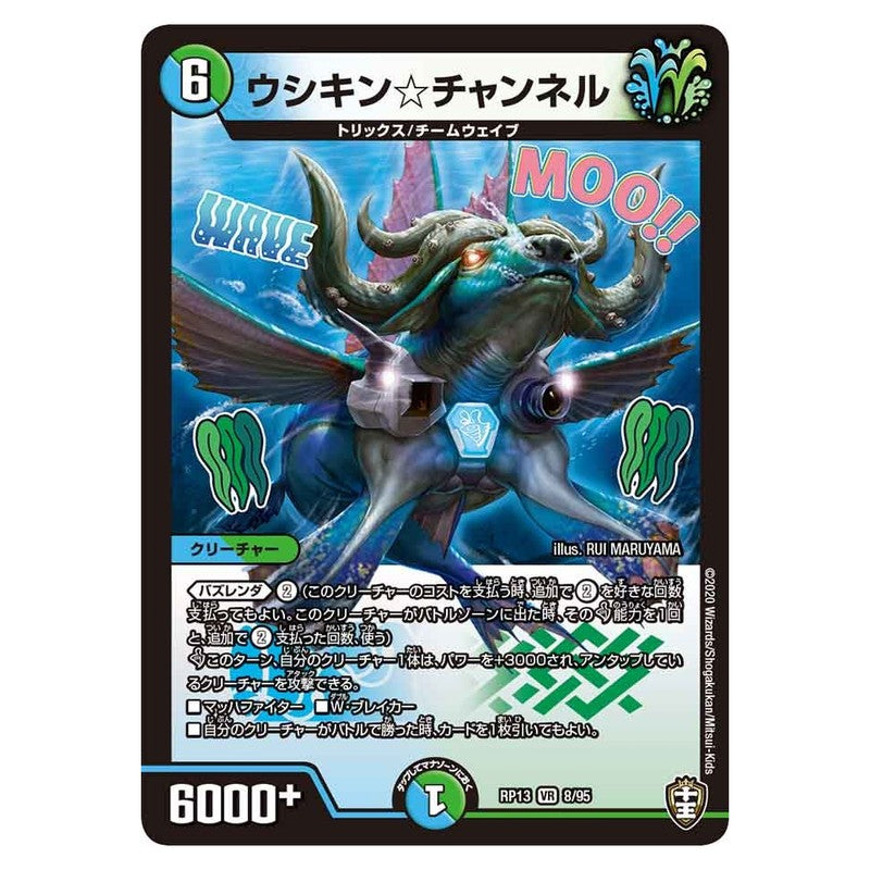 dmrp13-008