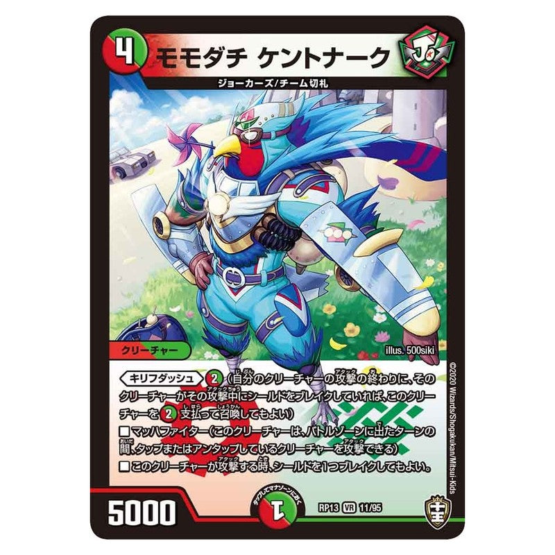 dmrp13-011