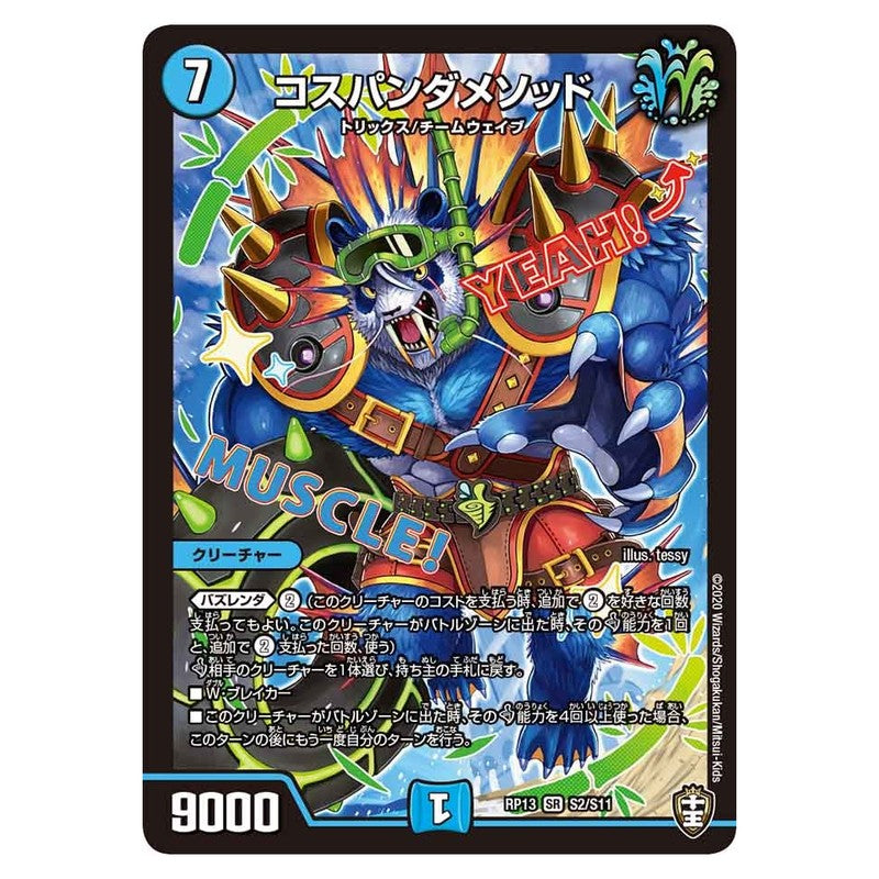 dmrp13-s02