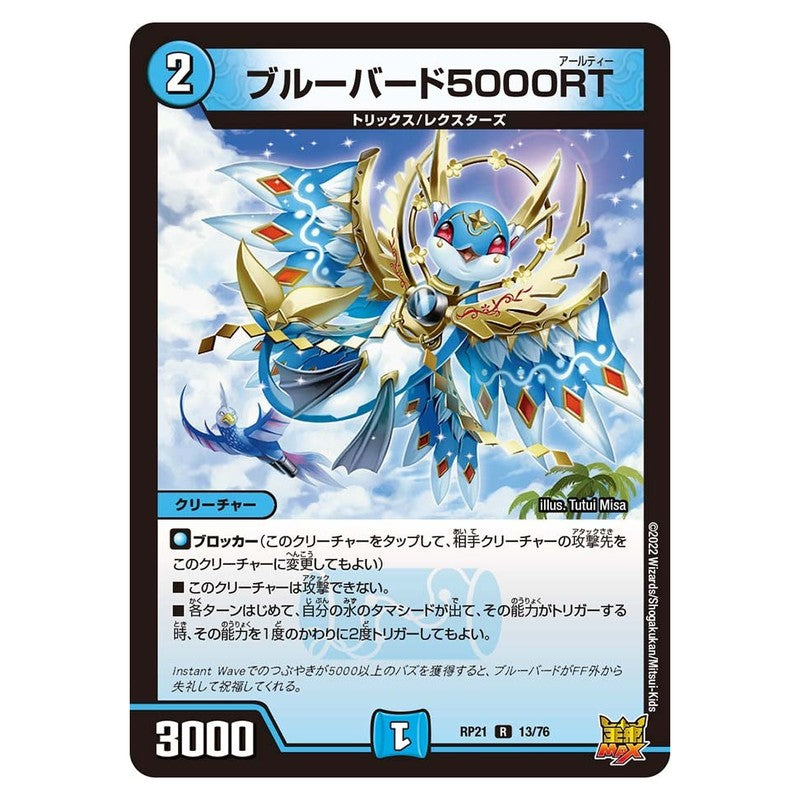 dmrp21-013