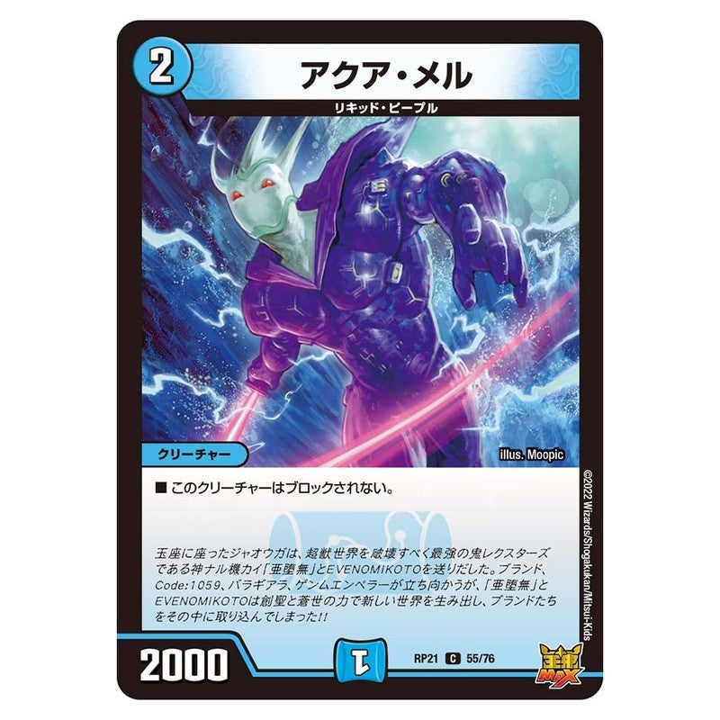 dmrp21-055