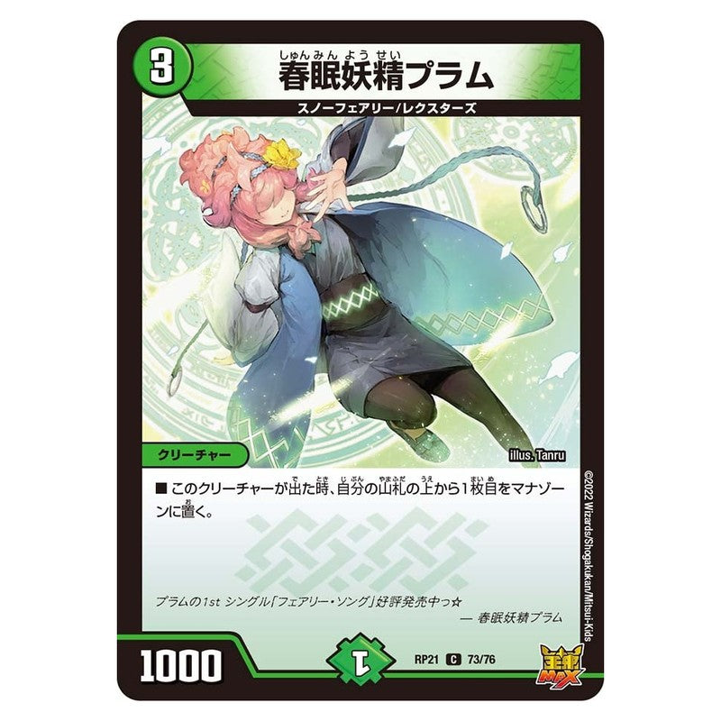 dmrp21-073