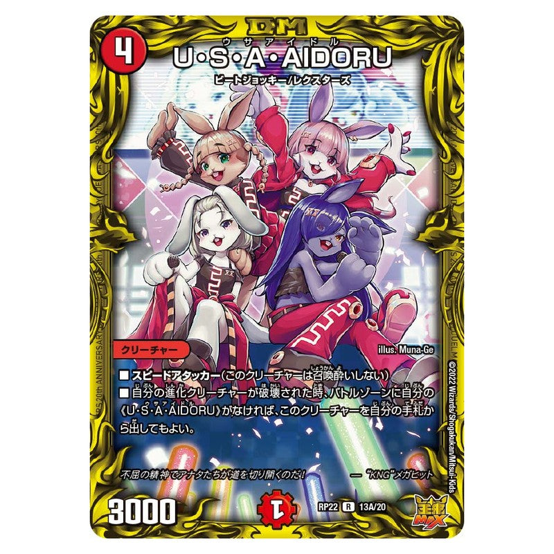 dmrp22-13A