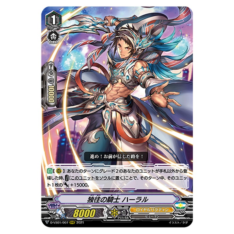 D-VS01/007