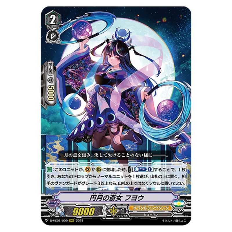D-VS01/009