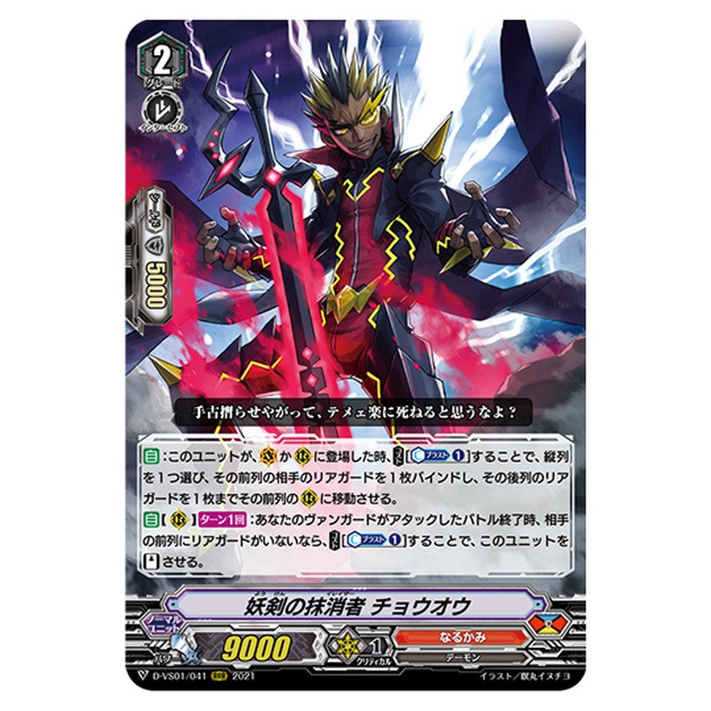 D-VS01/041