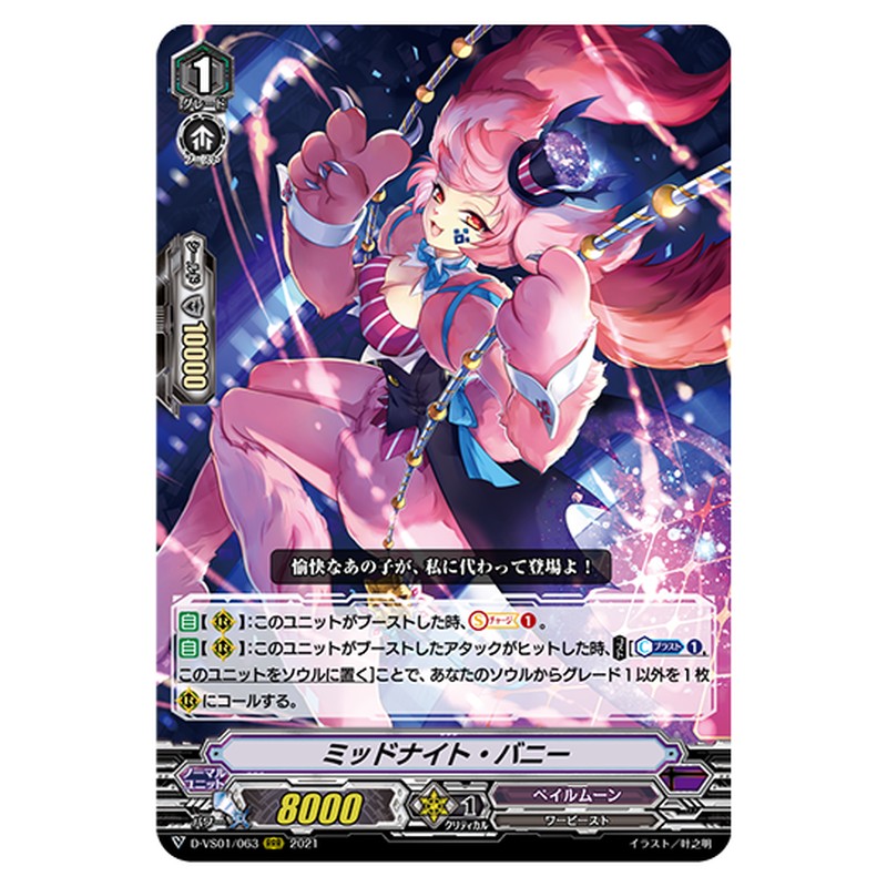 D-VS01/063