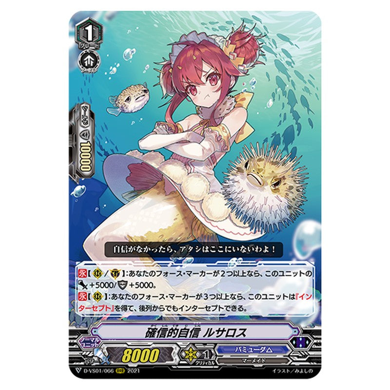 D-VS01/066