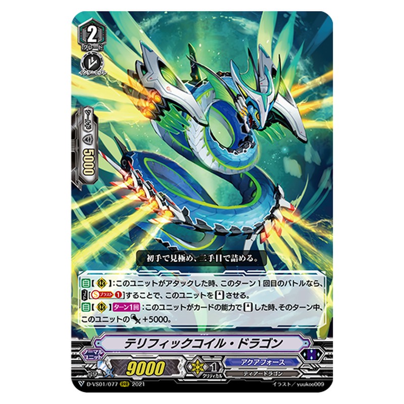D-VS01/077