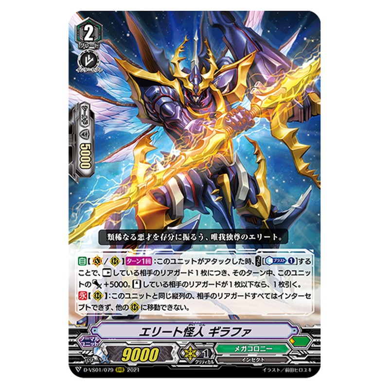 D-VS01/079