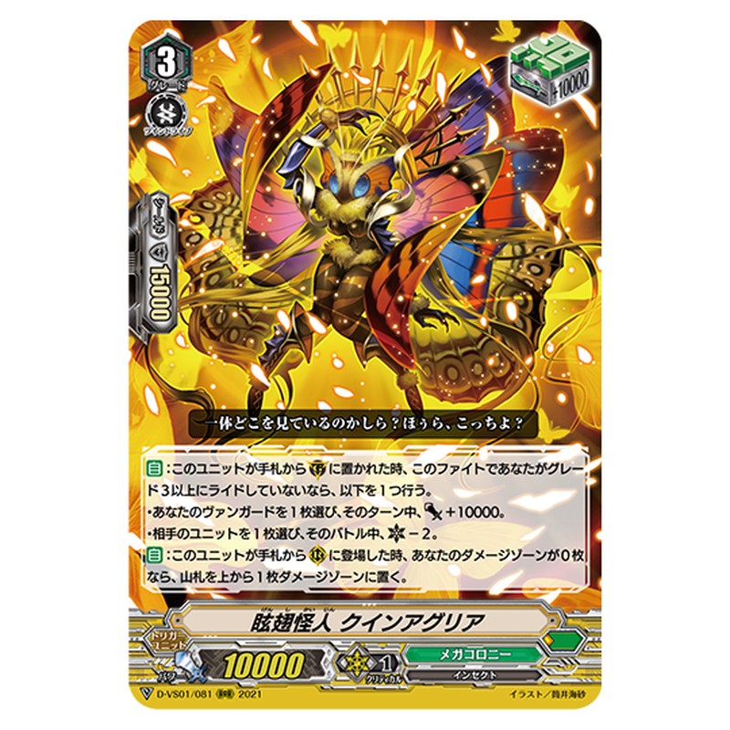 D-VS01/081