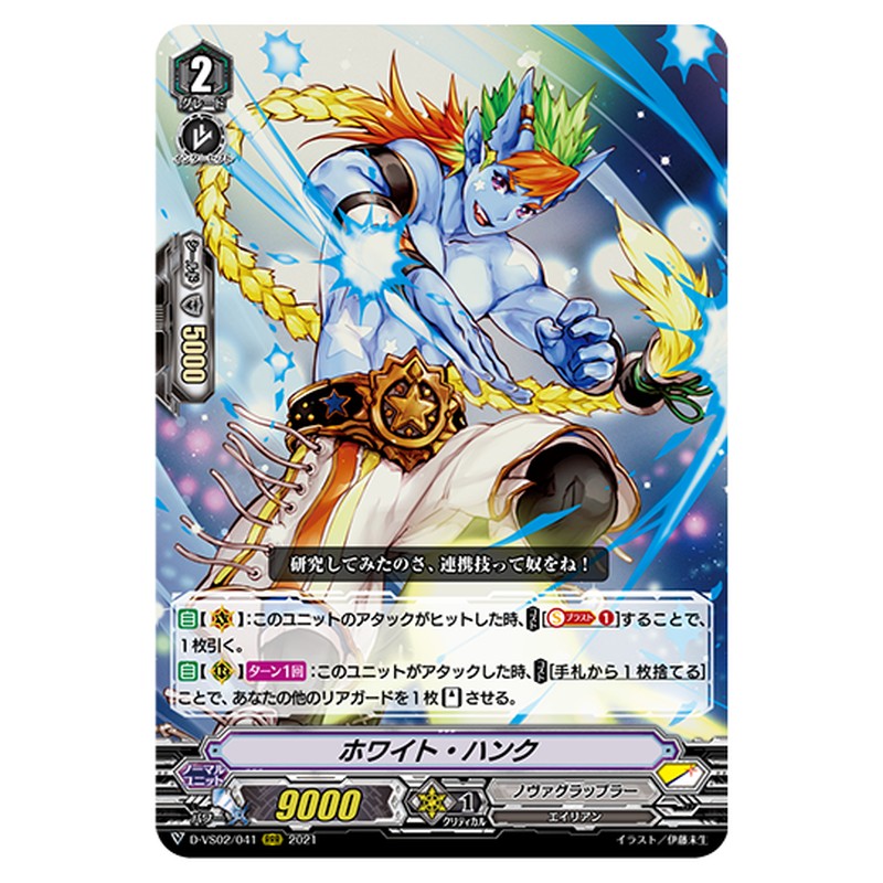 D-VS02/041
