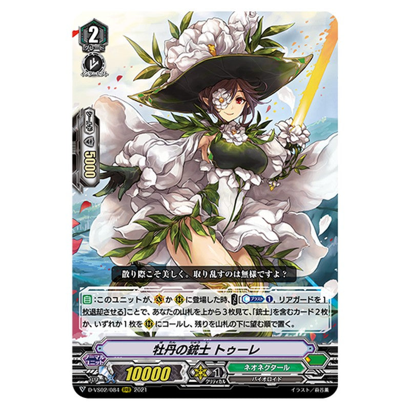 D-VS02/084