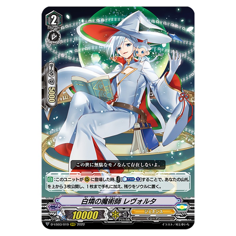 D-VS03/019