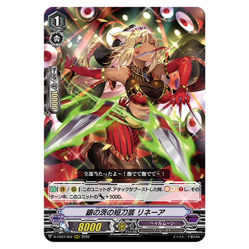 D-VS03/062