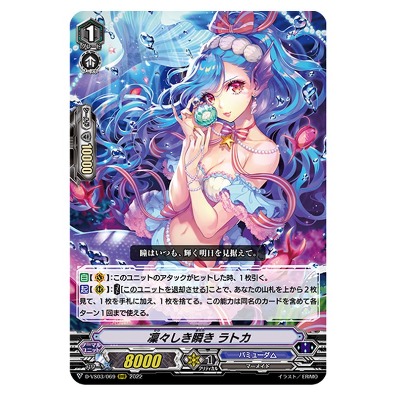D-VS03/069