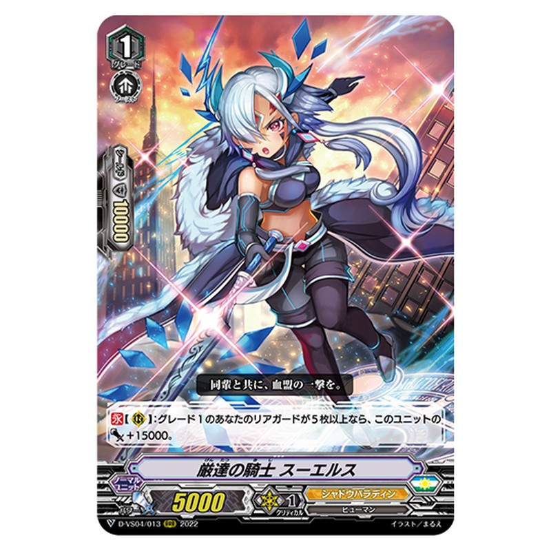 D-VS04/013