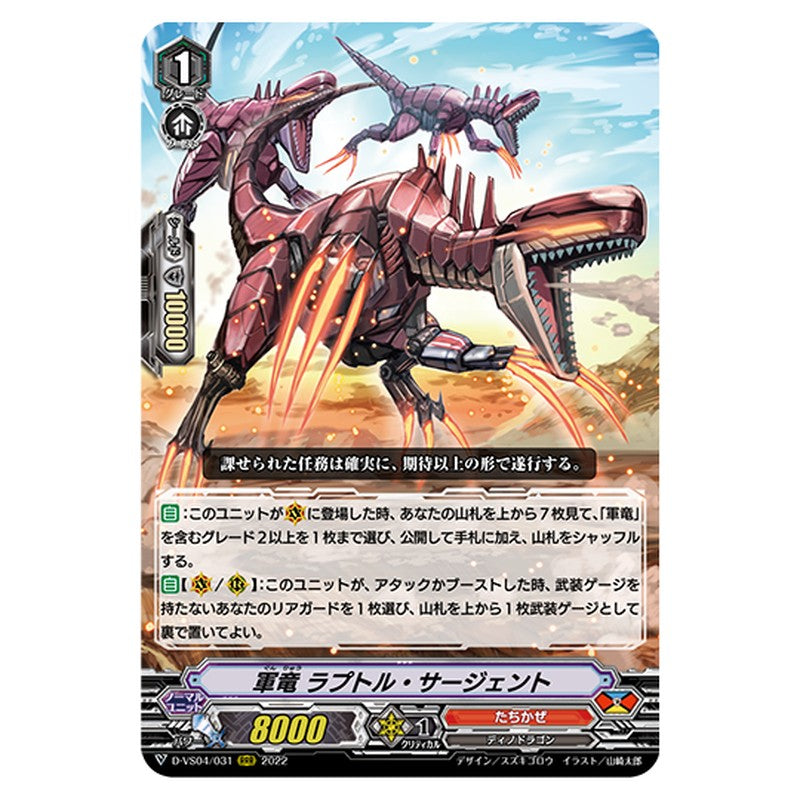 D-VS04/031