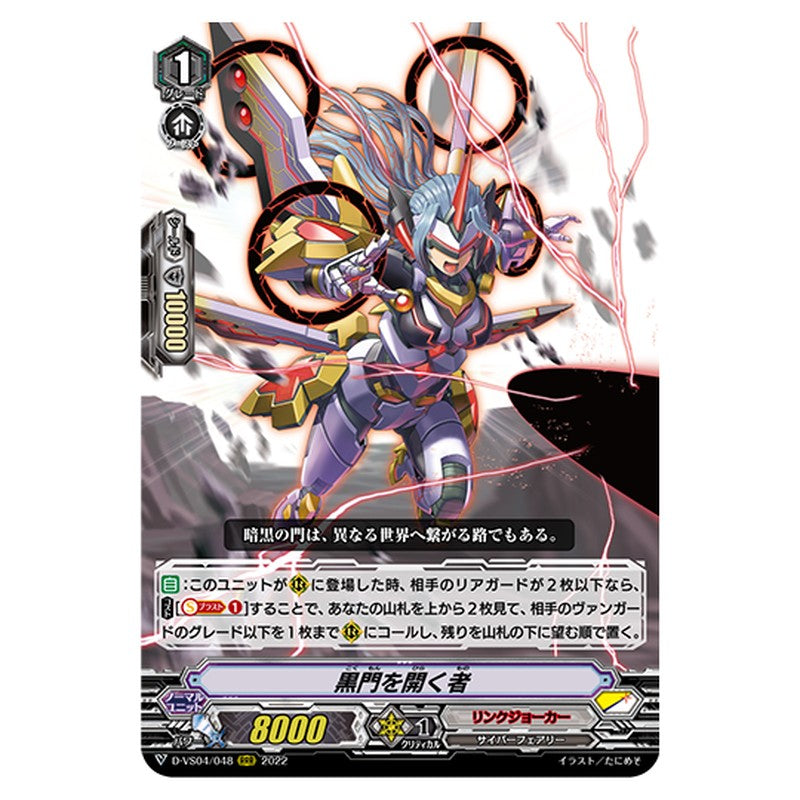 D-VS04/048