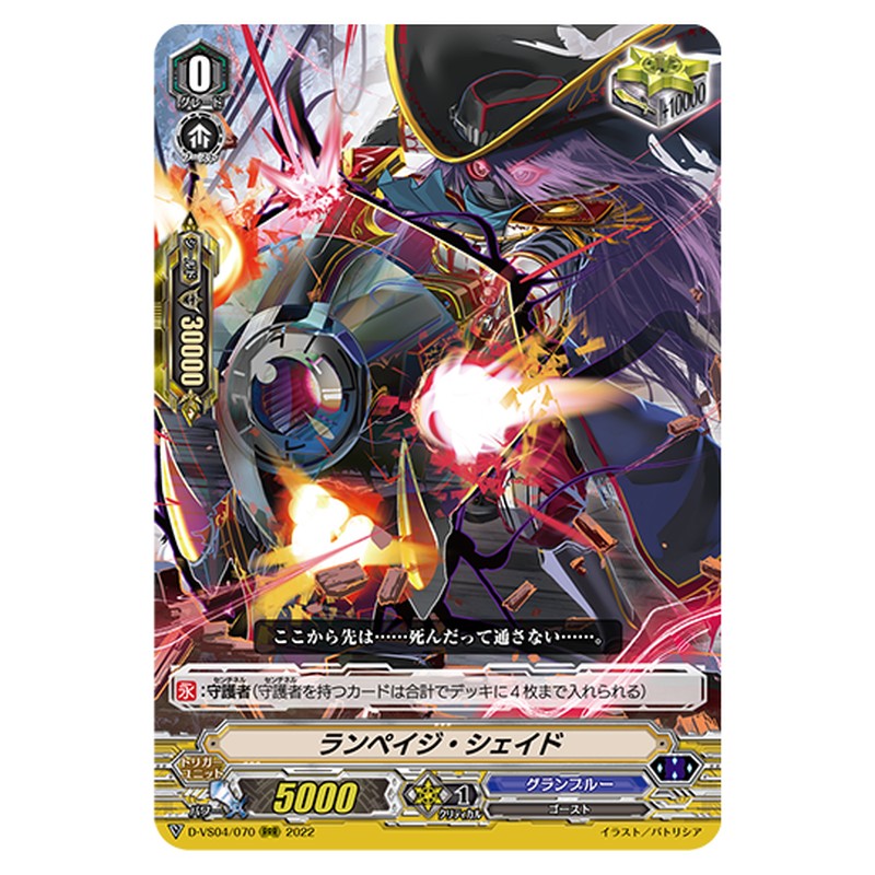 D-VS04/070