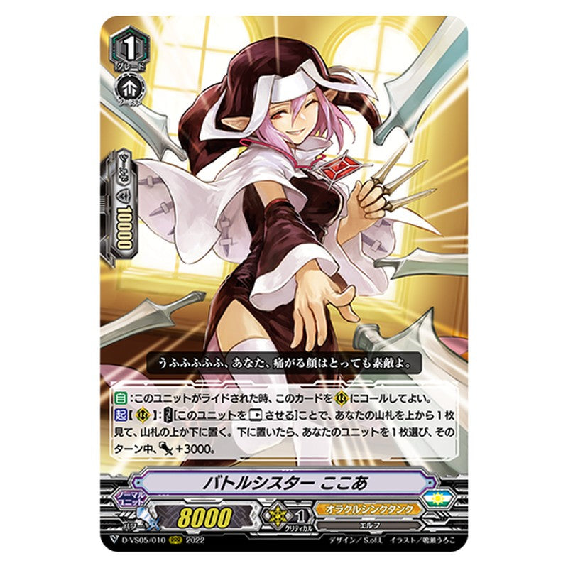 D-VS05/010