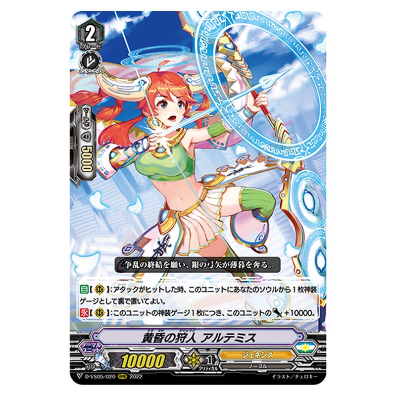 D-VS05/020