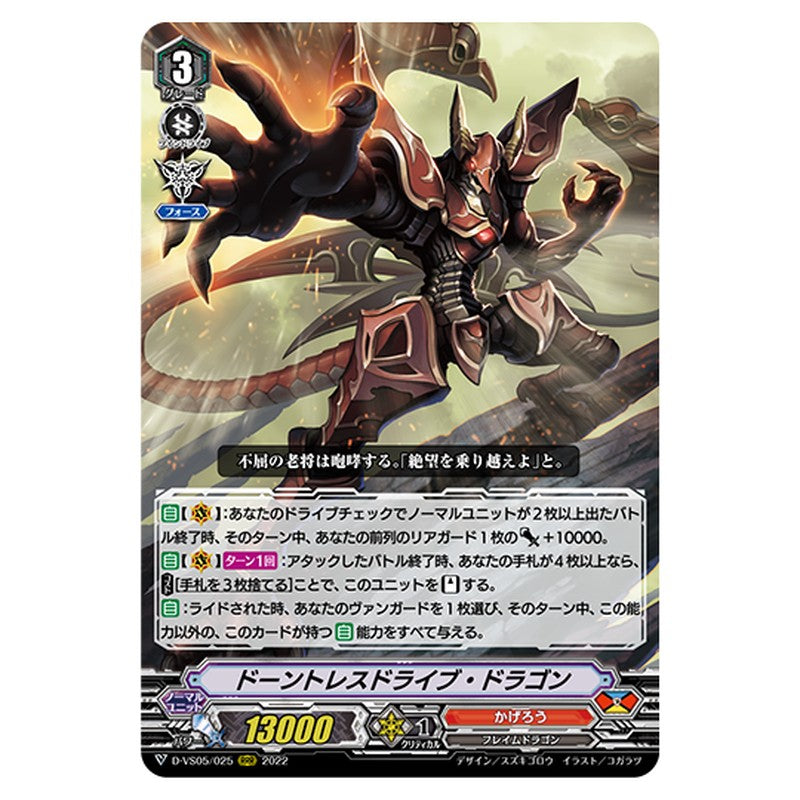 D-VS05/025