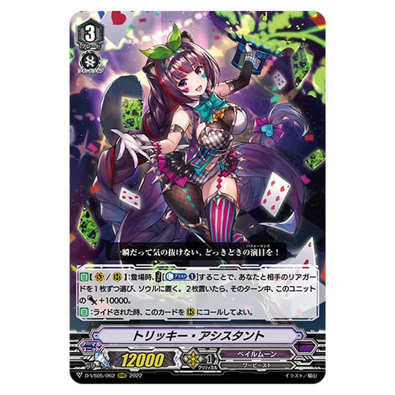D-VS05/062