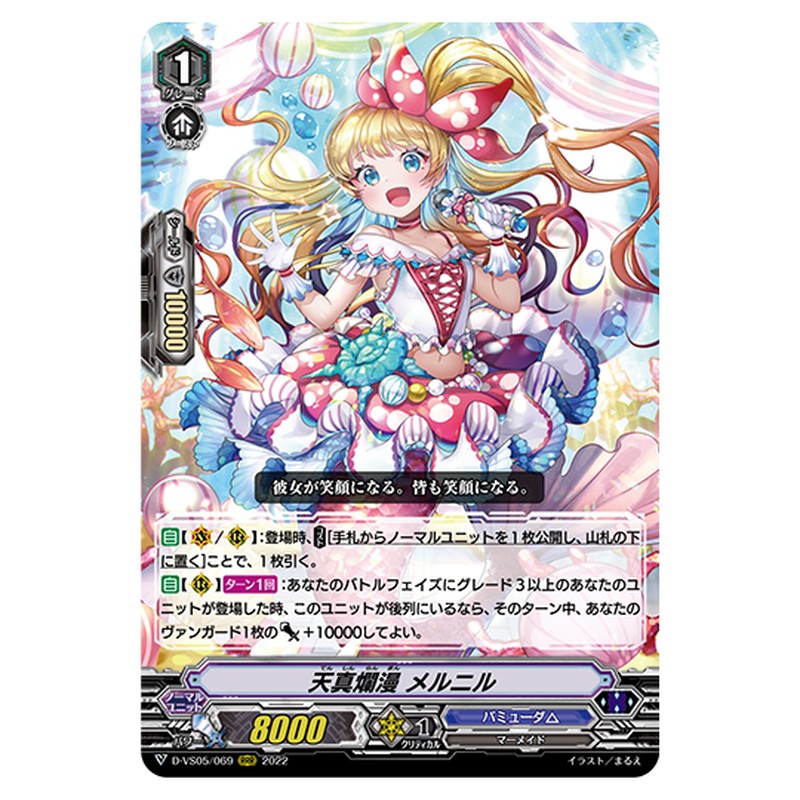 D-VS05/069