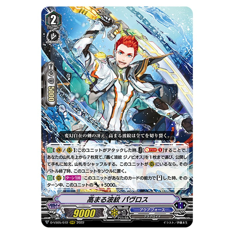D-VS05/072