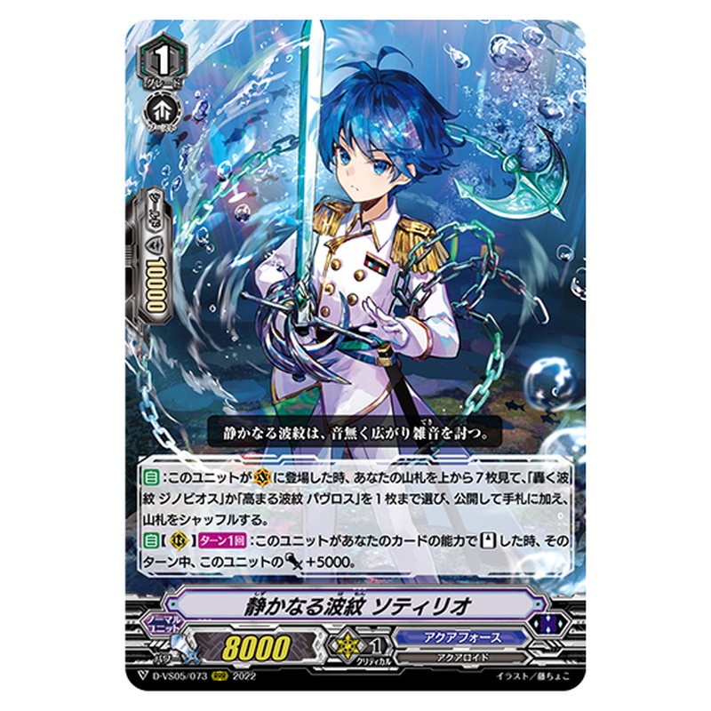 D-VS05/073